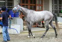 CBCޡϾ(1)륹