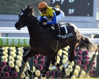 宿敵不在の三冠最終戦でタイトルを狙うヴェロックス